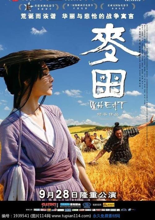 台湾和香港的身份证是什么样的